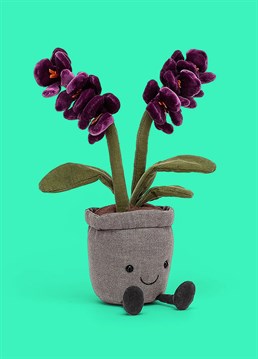 <ul>
    <li>Say hello to the classiest of all the floral friends!</li>
    <li>A flower you don&rsquo;t have to water, the Jellycat Amuseable Purple Orchid is the perfect gift for any occasion that&rsquo;ll stay in bloom all year round.</li>
    <li>With velvety purple flowers, cordy green steams and fluffy brown soil, this elegant pot plant will look gorgeous displayed in any home.</li>
    <li>Dimensions: 29cm high, 10cm wide</li>
</ul>
